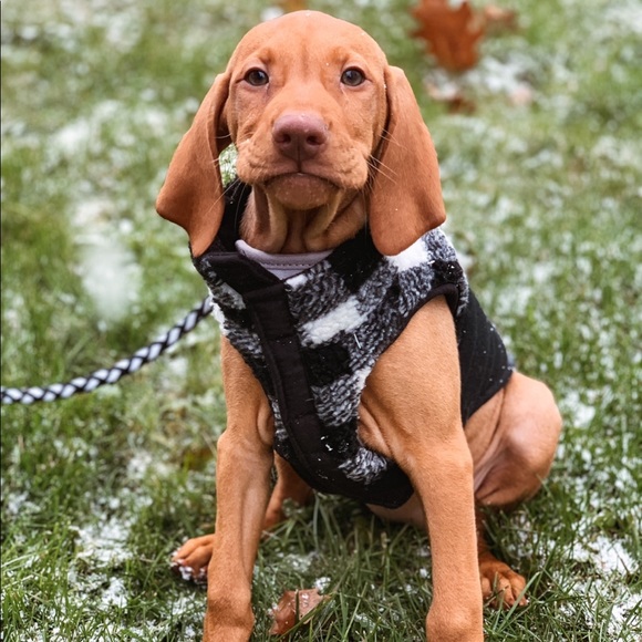 Other - Black and White Checkered Fleece Jacket